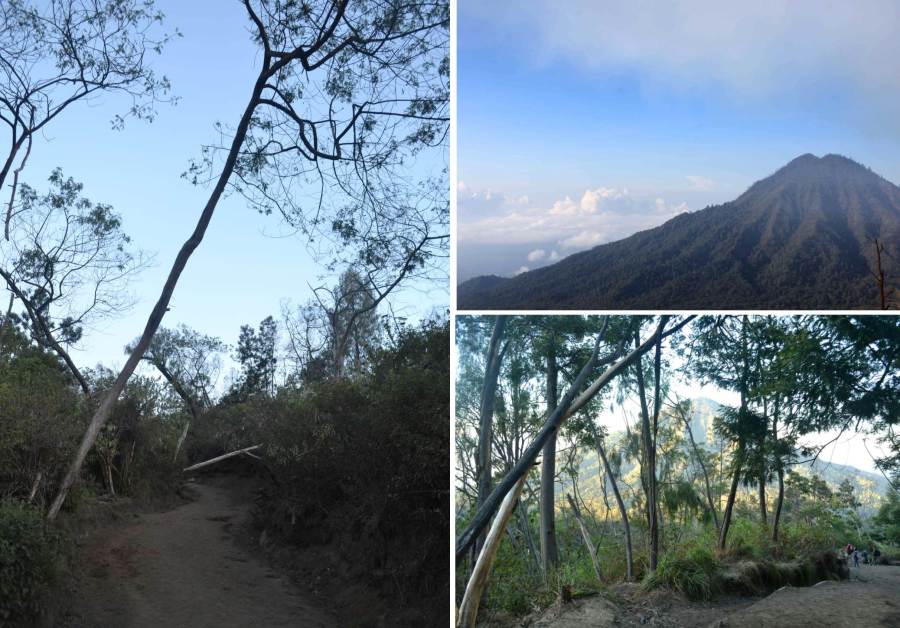 track jalan menuju puncak yang cukup lebar