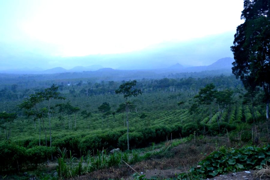 pemandangan kawasan dari pos I