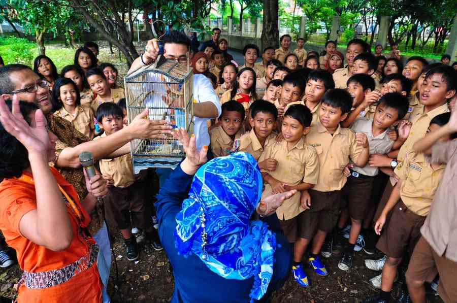pelepasan burung pengejar cita (foto : atm)