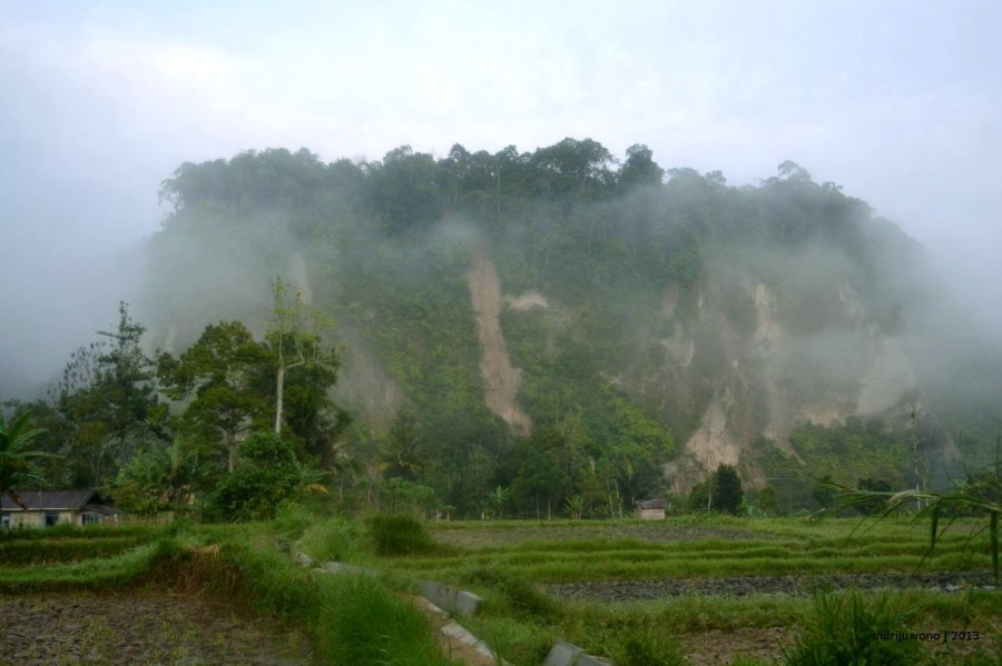 ngarai di tengah kabut