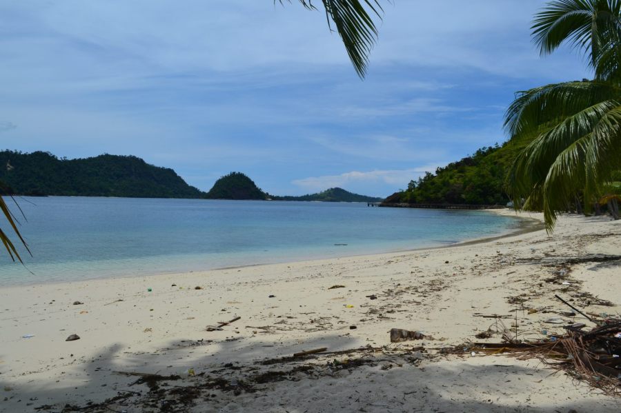 tepian pantai yang banyak pelepah kering