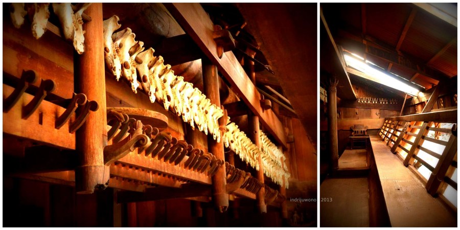 bagian atas dengan deretan gigi babi, juga tempat duduk tertinggi