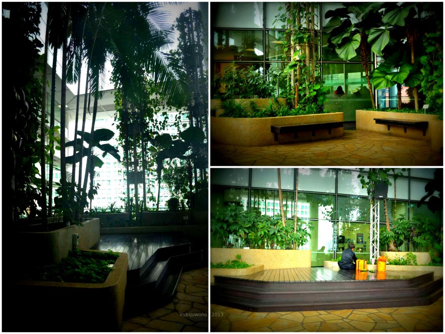 the courtyard, tempat membaca buku sendiri di lantai 5