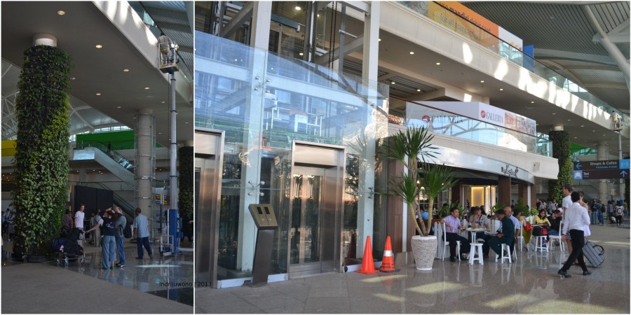 kolom yang dirambati tanaman di depan hall bawah