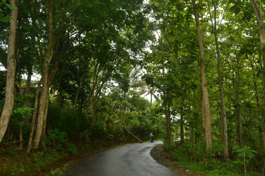koridor desa babung, gunungkidul