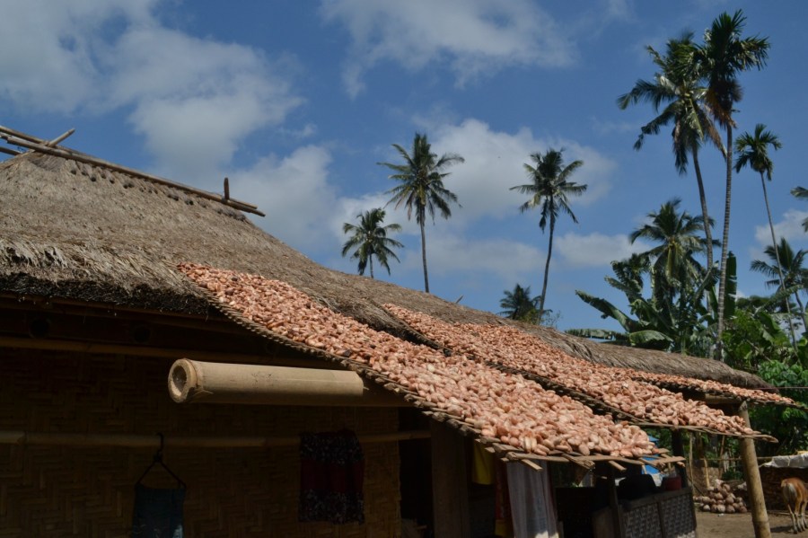 sebagian atap rumah di desa adat senaru