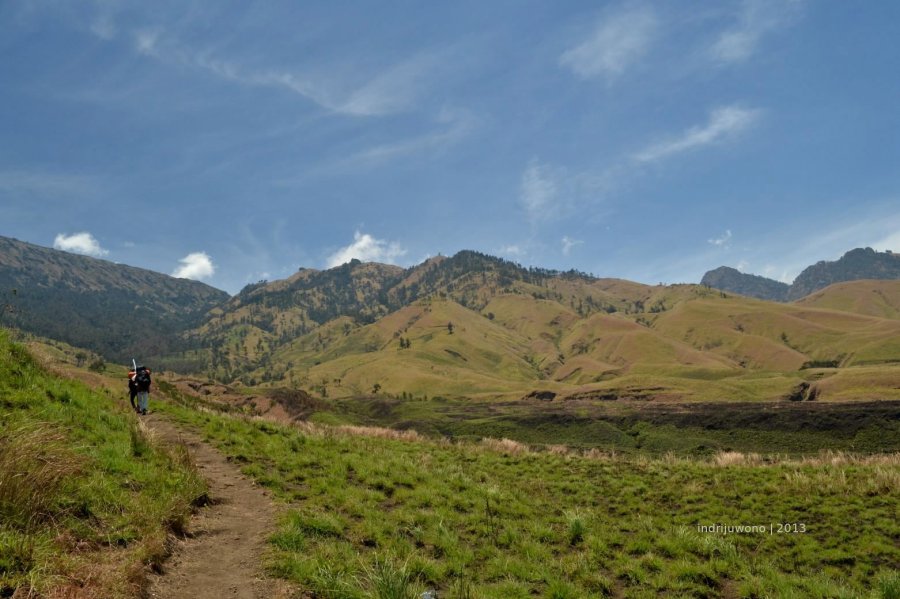 jalur savana yang panjang butuh ketahanan fisik