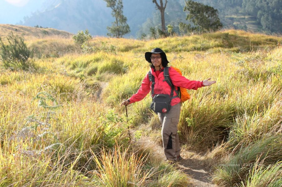 lintasan padang yang berangin menuju danau