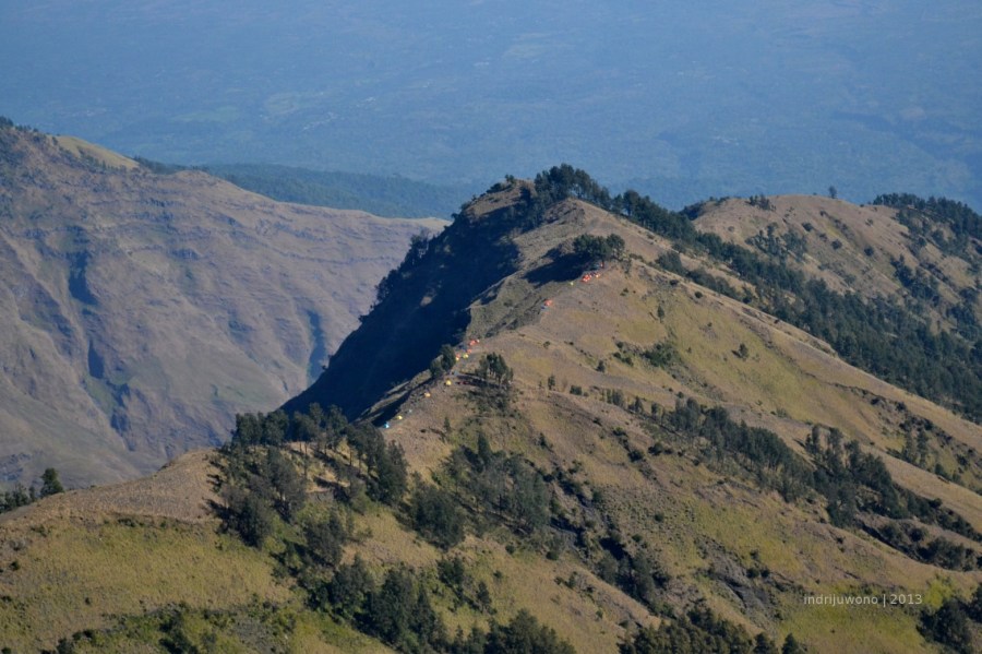 tenda berderet di plawangan sembalun