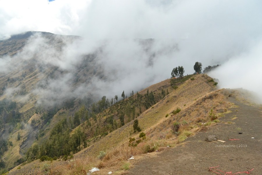 kabut turun menjelang siang
