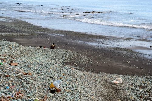 pekerja pengumpul batu di pantai