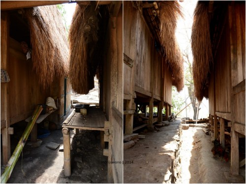 lorong di antara dua rumah