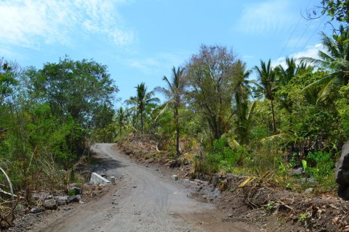 jalan pintas antar pemukiman di Ngadha