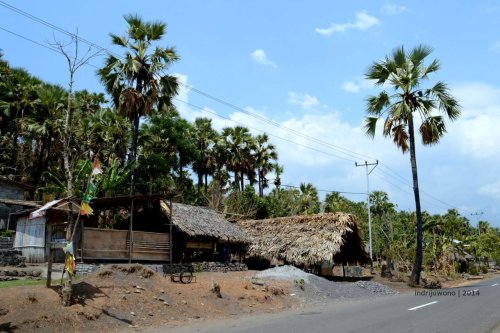 shelter penyulingan arak