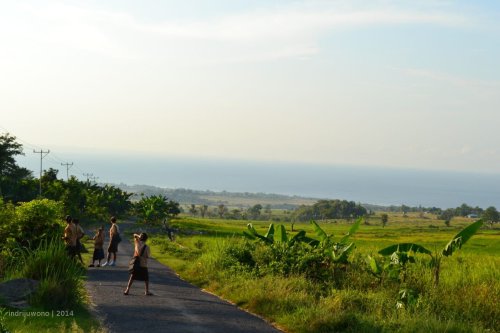 jalan desa narang yang dilewati anak sekolah