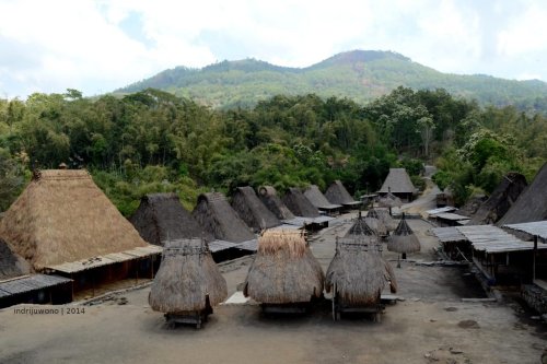 desa-bena-bajawa