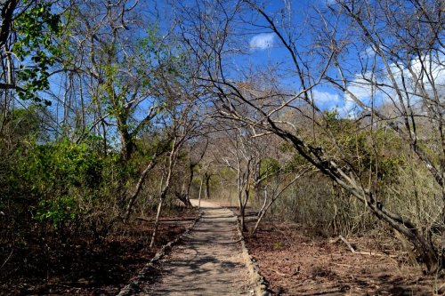 pulau-komodo-11