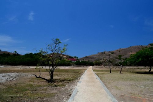 menyusur tengah padang pulau rinca