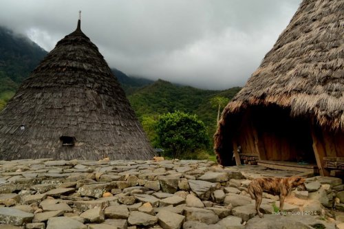 wae rebo 20 pintu masuk mbaru gendang