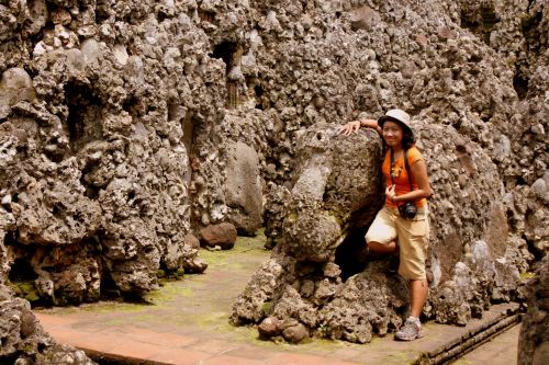 gajahnya masih bisa dijangkau