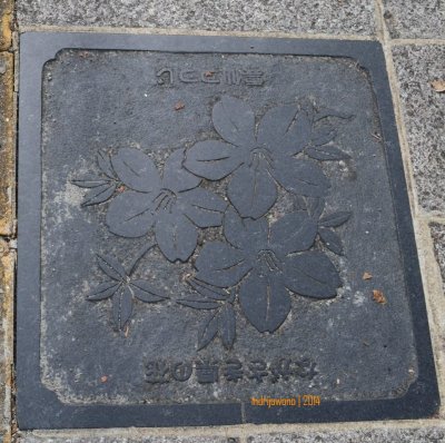 manhole cover di NAGASAKI, bergambar bunga