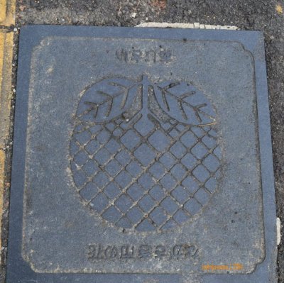 manhole cover di NAGASAKI, motif buah-buahan