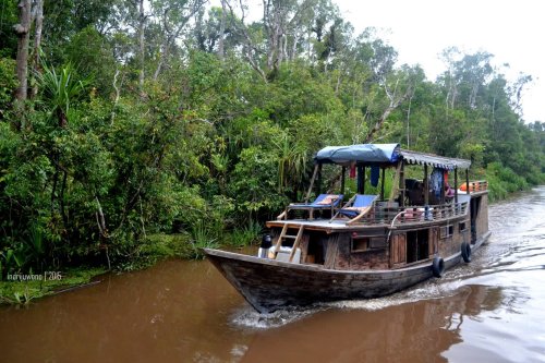 kelotok tetangga yang menyalip