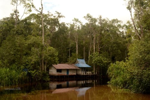 perbatasan sekonyer kiri yang coklat dan sekonyer kanan yang hitam