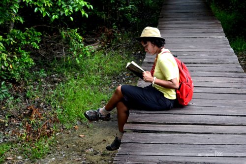 5-tanjungputing-partikel-dee