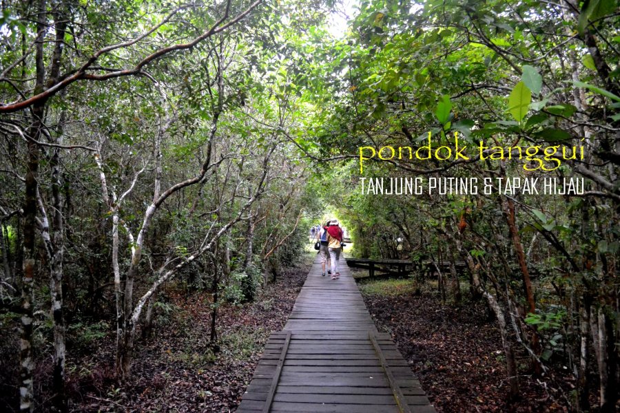 5-tanjungputing-pondok-tanggui-JALAN