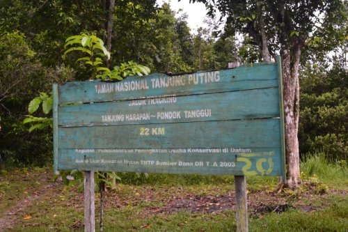 kalau berjalan kaki sampai camp berikutnya, 22 km saja.