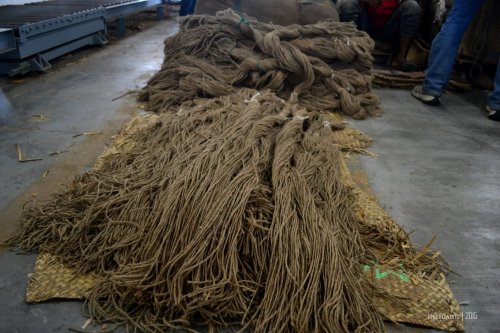 tali rami untuk mengikat