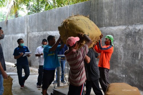 penimbangan dan labelling tembakau