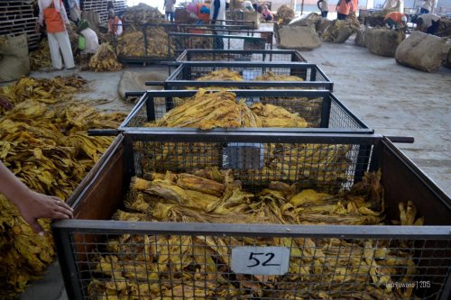 keranjang hasil sortir