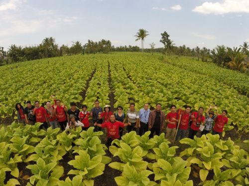 tim jelajah tembakau lombok
