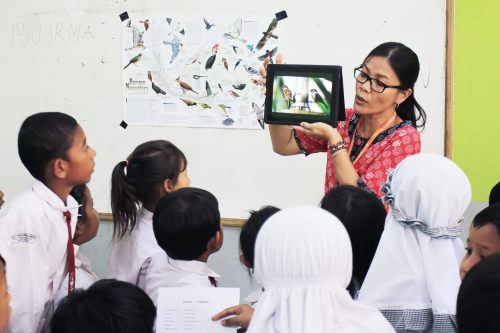 kak irma yang bercerita macam-macam burung