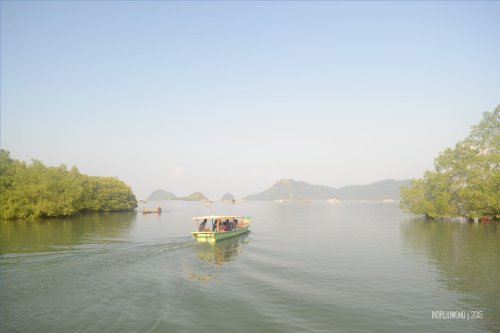 33-mandeh-sumatera-barat-muara-sungai-laut