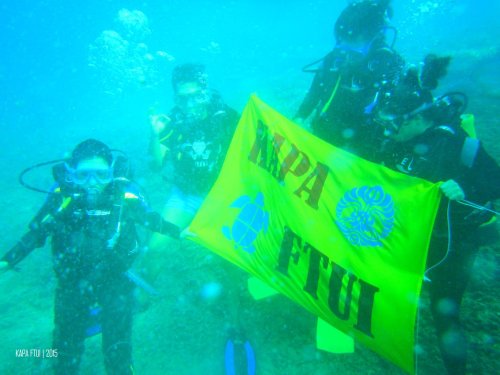39-mandeh-sumatera-barat-bendera-dive-under-water