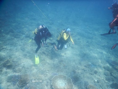 9-mandeh-sumatera-barat-dive-under-water