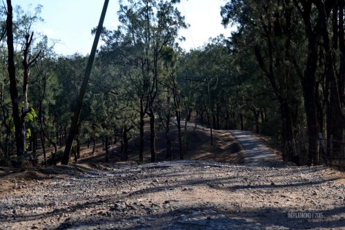 10-kupang-soe-fatumnasi-jalan