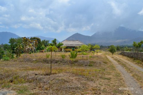 15-nauli-bungalow-sembalun-lombok-pekarangan