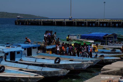 2-2-kupang-pelabuhan-tenau