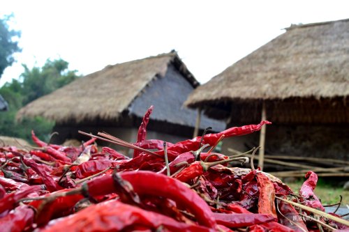 25-lombok-sembalun-lawang-desa-adat-beleq-blek-cabai