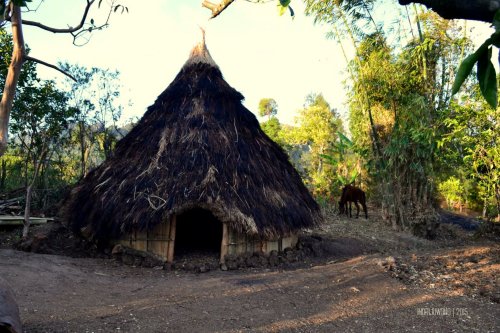 34-kupang-soe-fatumnasi-desa-adat-lopo