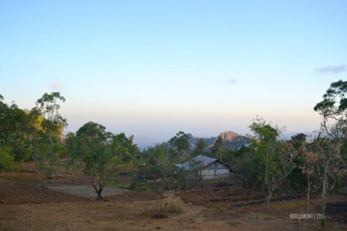 49-kupang-soe-fatumnasi-desa-adat-lopo