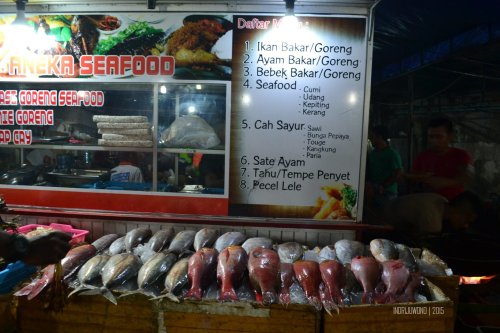 5-6-kupang-kampung-solor