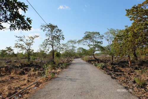 7-3-kupang-jalan-desa