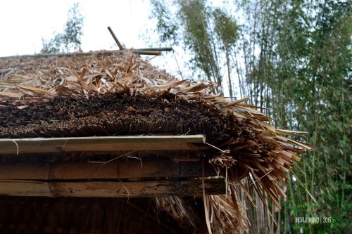 9-sembalun-lawang-desa-adat-beleq-blek-atap-rumah