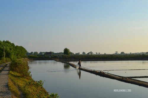 5-matahari-terbit-lasem-tambak-bandeng