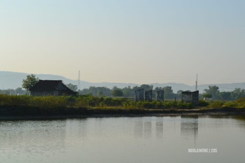 7-matahari-terbit-lasem-tambak-bandeng